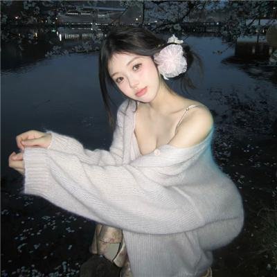 绽放的玫瑰