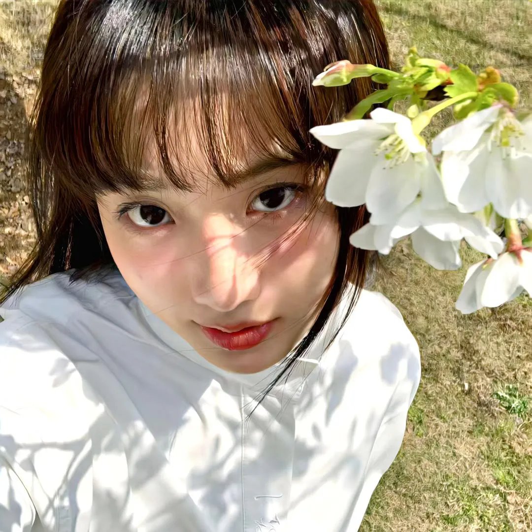 隐世神厨震乾坤